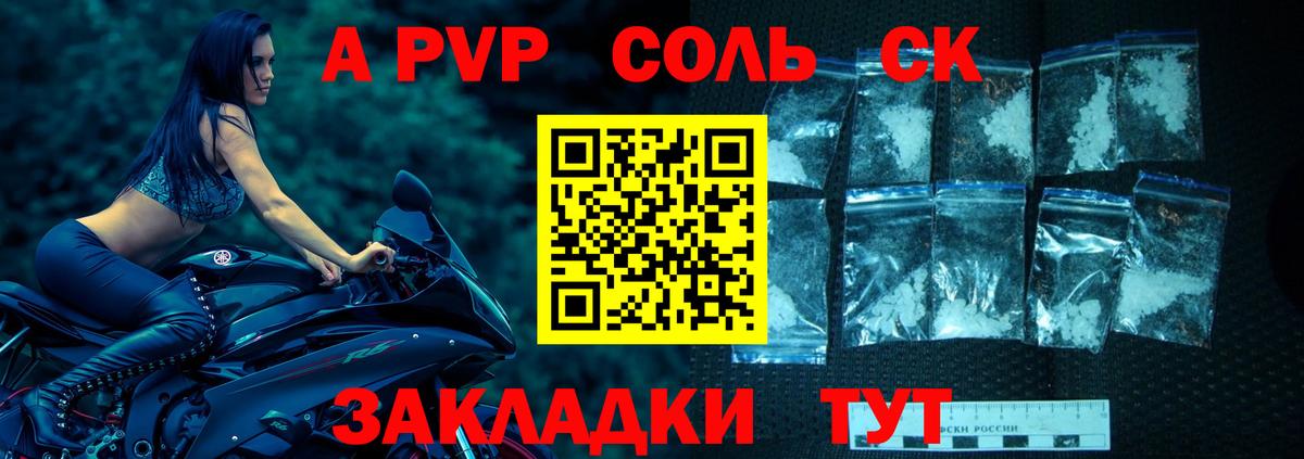 Alfa_PVP СК Выборг