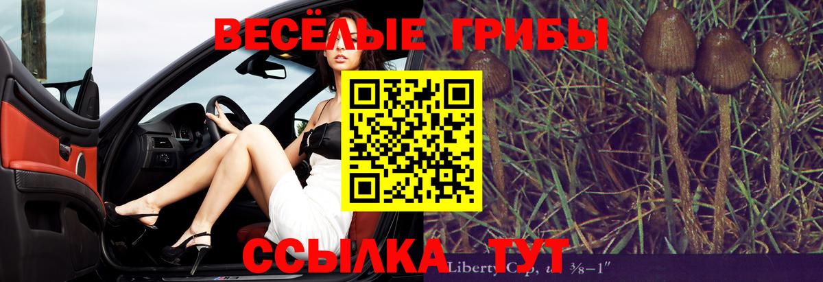 Псилоцибиновые грибы ЛСД  Вход с VPN  Выборг 